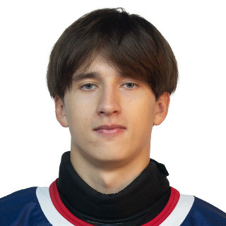 Фото игрока - Vasilyev Ilya D.