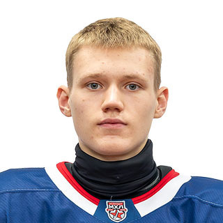 Фото игрока - Gorbunov Artyom