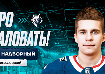 Neftekhimik have signed forward Matvei Nadvorny