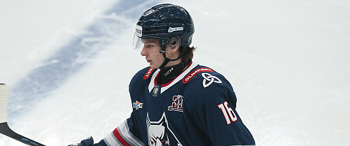 Николай Криволапов: «Рад, что сбылась моя мечта»