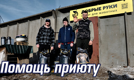 Приют "Добрые руки"