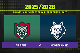 Обзор матча «Ак Барс» – «Нефтехимик»