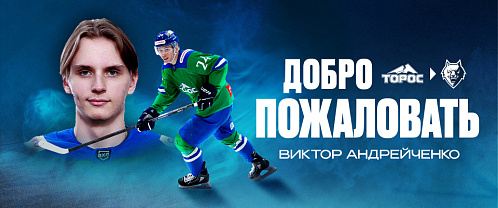 Neftekhimik have signed forward Viktor Andreichenko