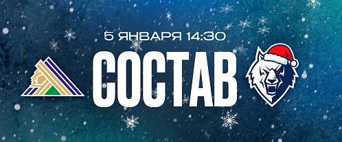 «Салават Юлаев» — «Нефтехимик»: состав нашей команды