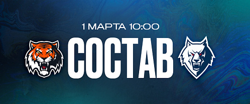 «Амур» — «Нефтехимик»: состав нашей команды