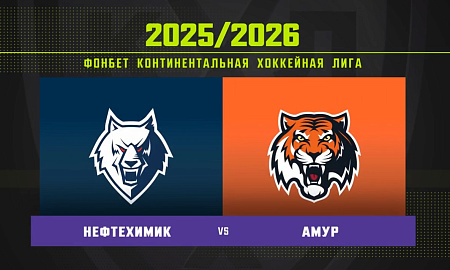 Обзор матча «Нефтехимик» – «Амур» Обзор матча «Нефтехимик» – «Амур»
