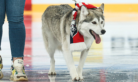 "Нефтехимик" - "Амур"