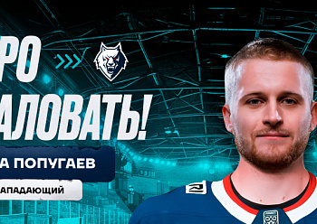 Neftekhimik have signed forward Nikita Popugayev