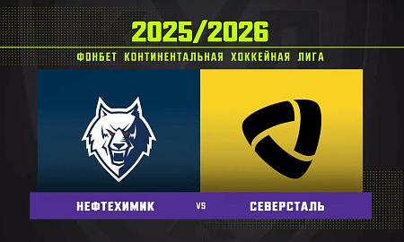 Обзор матча «Нефтехимик» – «Северсталь»