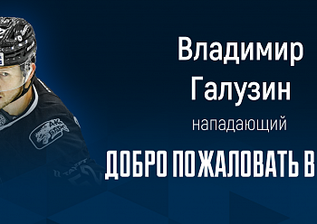 «Neftekhimik» have signed forward Vladimir Galuzin to a one-year contract!