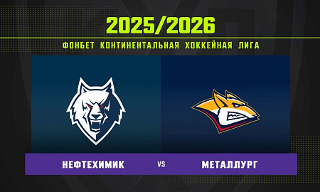 Обзор матча «Нефтехимик» – «Металлург»