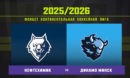 Обзор матча «Нефтехимик» – «Динамо» (Минск)