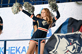 "Реактор" - "Ирбис"