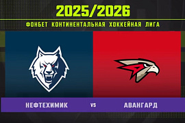 Обзор матча «Нефтехимик» – «Авангард»