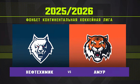 Обзор матча «Нефтехимик» – «Амур»