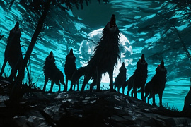 Охота за Кубком начинается! Охота за Кубком начинается!