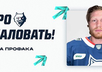 Neftekhimik have signed defenseman Luka Profaca
