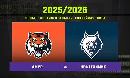 Обзор матча «Амур» – «Нефтехимик»